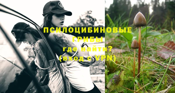 прущая мука Володарск