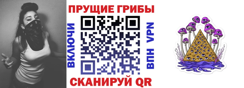 хочу наркоту  Верхоянск  Псилоцибиновые грибы Cubensis 